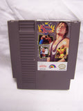 NINTENDO NES WWF KING OF THE RINGS